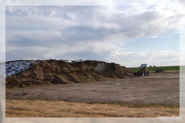 Silage
