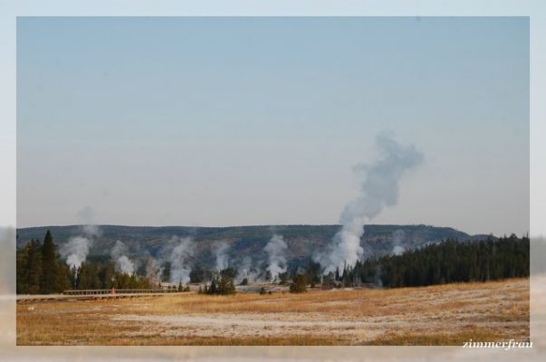 Old Faithful Area
