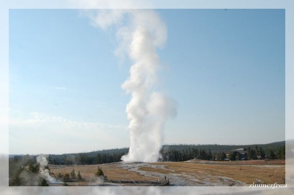 Old Faithful
