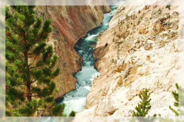 Canyon
