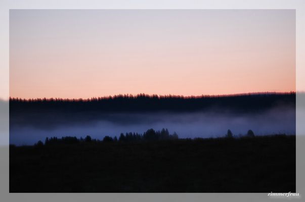 Morgennebel
