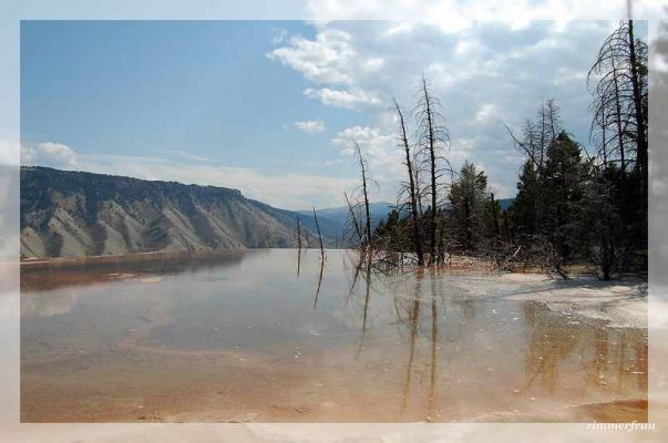 Canary Springs Walk
