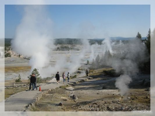 Norris Geyser Basin 
