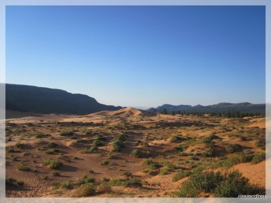 Sanddünen
