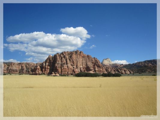 Graslandschaft
