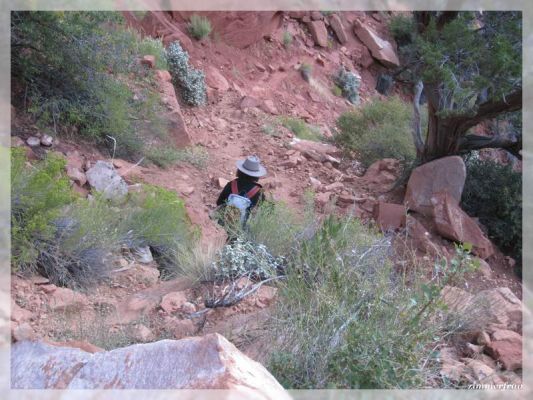 Abstieg in den Canyon
