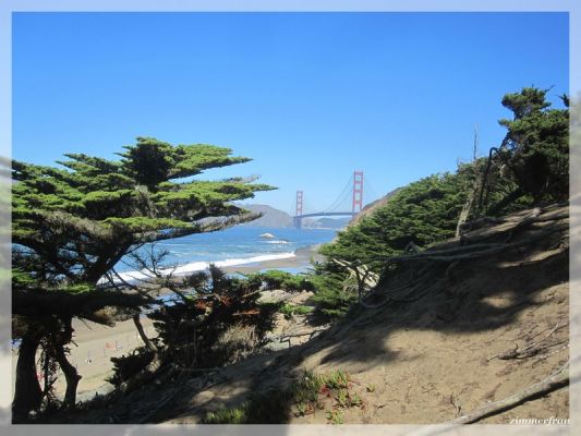 Golden Gate Bridge
