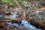 Negro Bill Creek Rapids