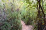 Trail im Negro Bill Canyon