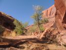 im Coyote Gulch