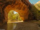Coyote Natural Bridge