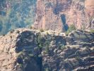 Blick auf Angels Landing