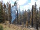 Feuer im Bryce Canyon