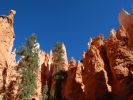 in Navajo Loop