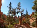 in Navajo Loop