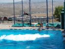 Freestyle Skispringen in´s Becken