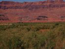 San Juan Arm des Lake Powel ohne Wasser