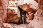 Herbert im Slotcanyon