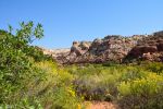 Lower Calf Creek Falls Trail