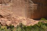 Petroglyphen