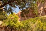 Lower Calf Creek Falls Trail