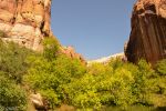 Lower Calf Creek Falls Trail