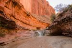 Coyote Gulch