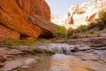 Coyote Gulch