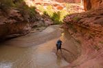 Herbert im Coyote Gulch