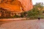 im Coyote Gulch