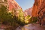 im Coyote Gulch
