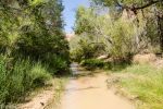 Coyote Gulch