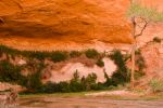 Cave im Coyote Gulch