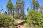 East Mesa Trail