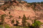 Slickrock in Zion