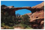 Double O Arche