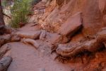 Trail