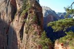 Angels Landing Trail