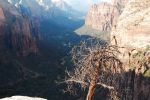 Zion Canyon