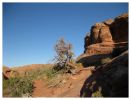 Wolfe Ranch Trail