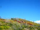 Herbst in Mesa Verde
