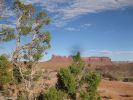 IMG_3773.jpg