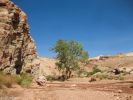 Trail zwischen Little White Horse und Bell Canyon 