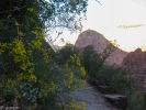 Observation Point Trail