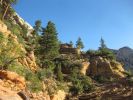 Observation Point Trail