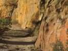 Observation Point Trail