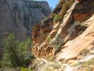 Observation Point Trail