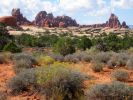 Needles District