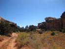 Needles District