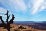 Mule Point Overlook